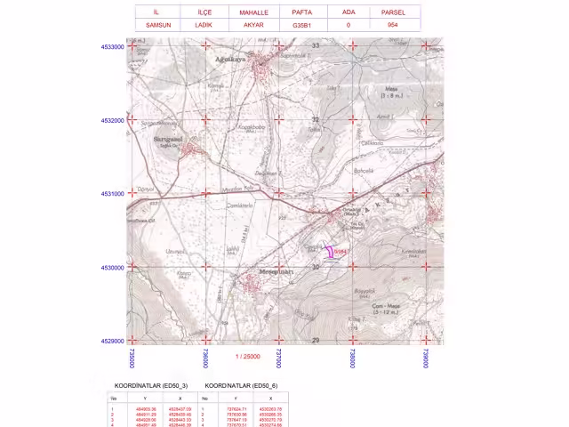 1/25000'lik Harita Örneği