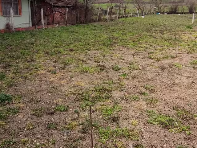 Aplikasyon Sınır Tespiti